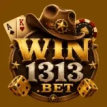 Win1313 Game logo with playing cards, cowboy hat, and casino chips design